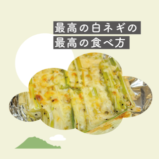 最高の白ネギの最高の食べ方