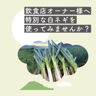飲食店オーナー様へ！大山の自然が育む幻の伯耆富士ネギ！